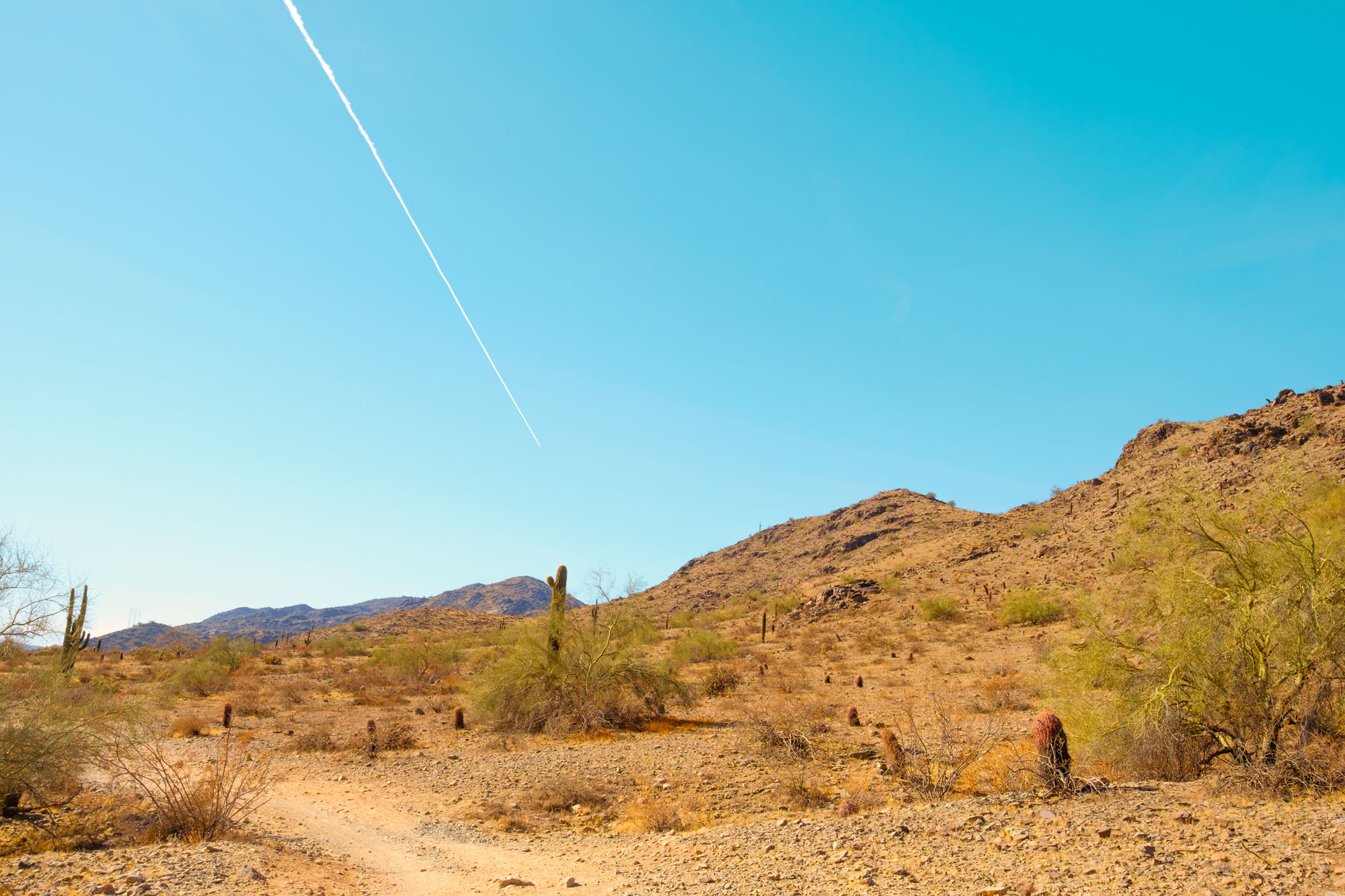 Desert Trail