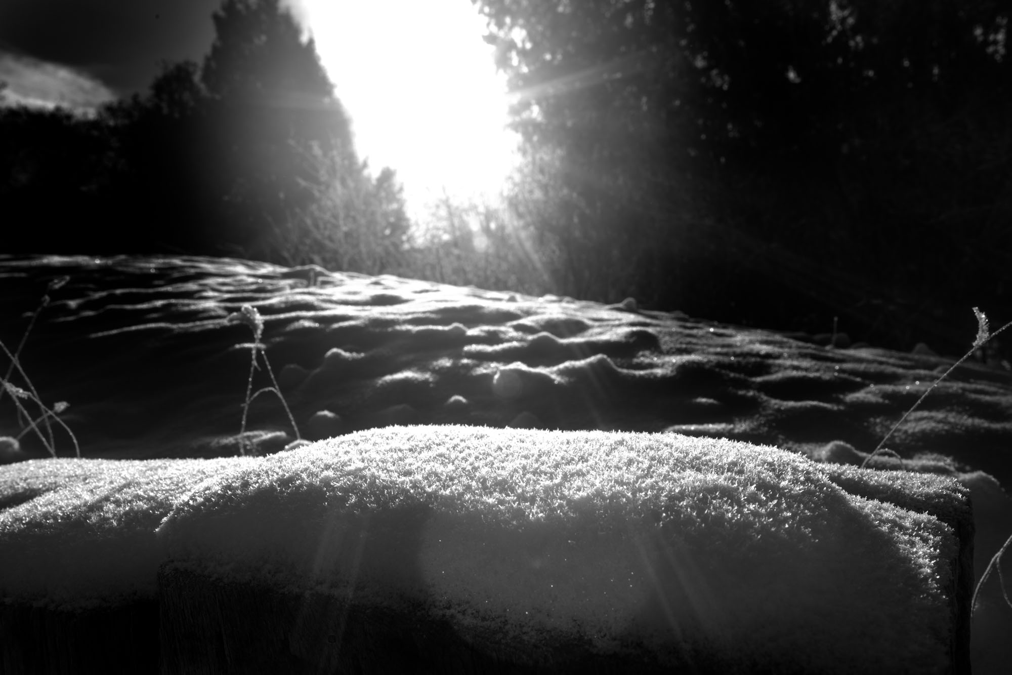 Snow Crystals B&W