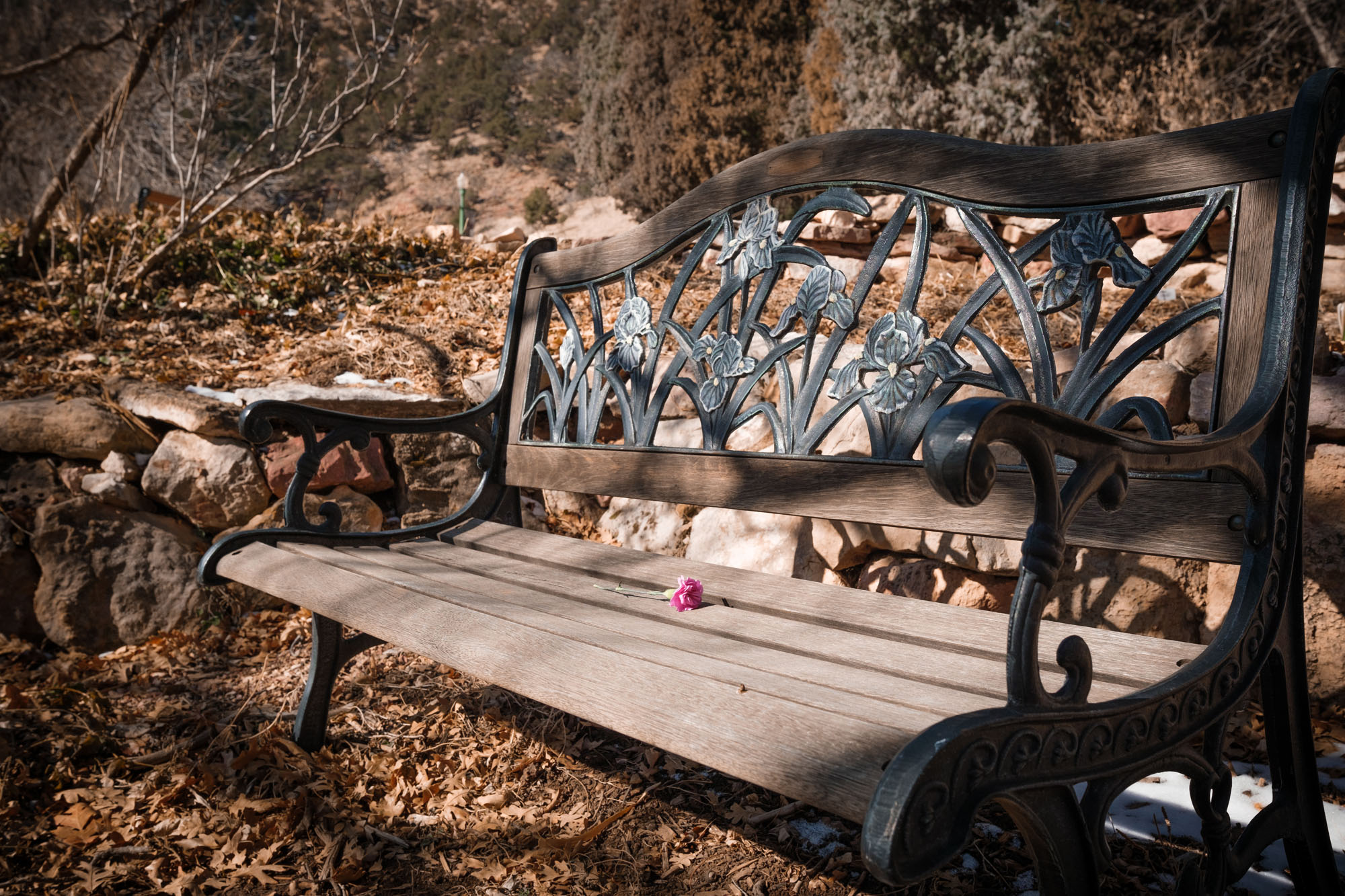 Colorado Springs Last Days