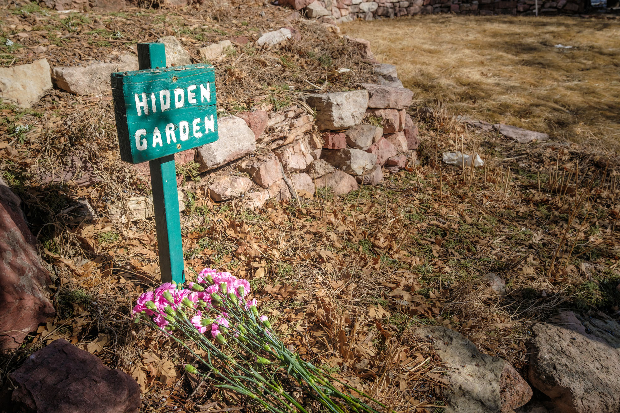 Colorado Springs Last Days