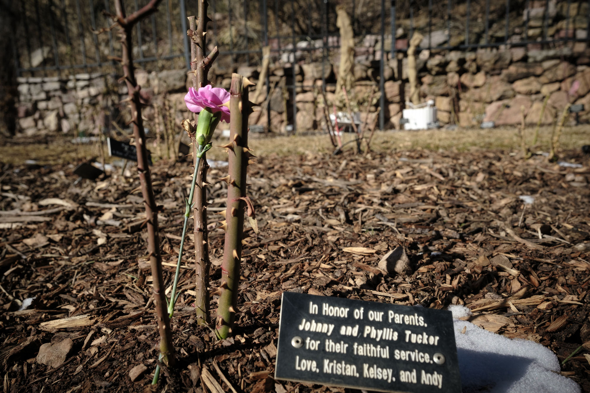 Colorado Springs Last Days