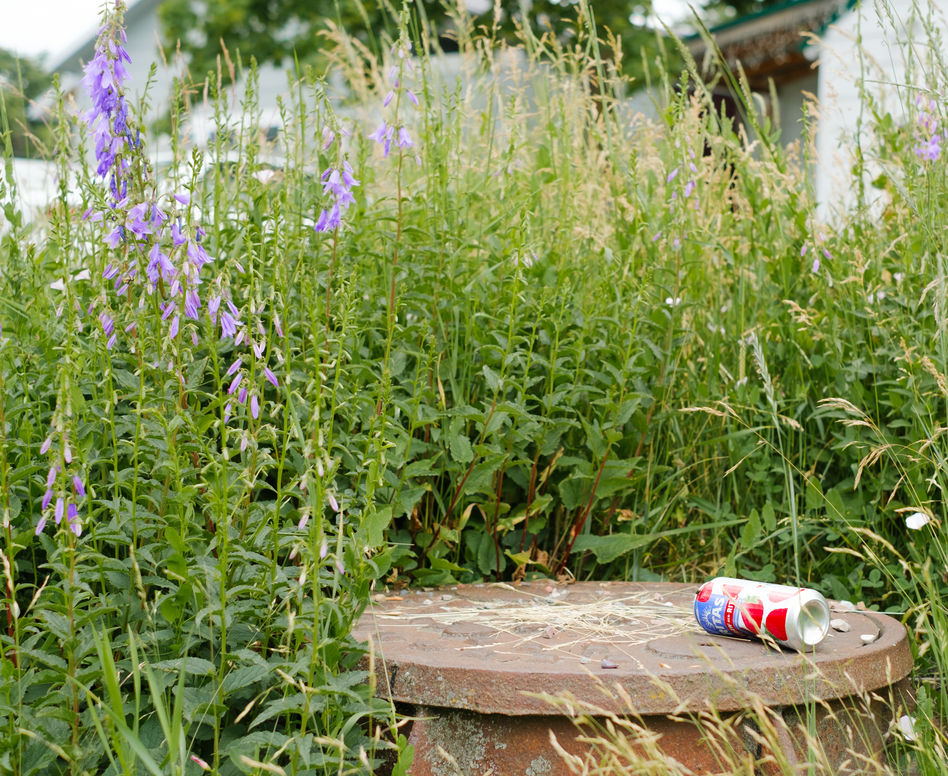Going-to-the-Sun Road | Montana