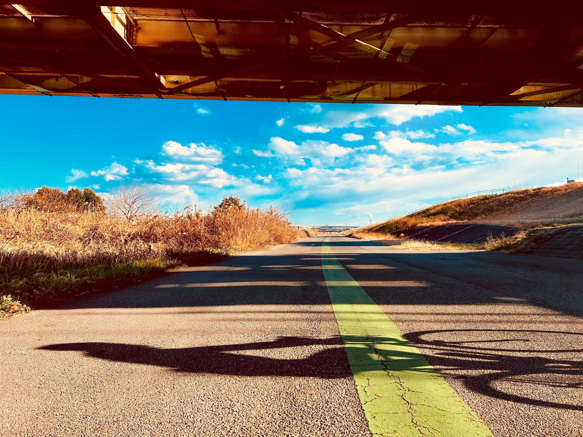 Japan 1/11/24 – 1/27/24