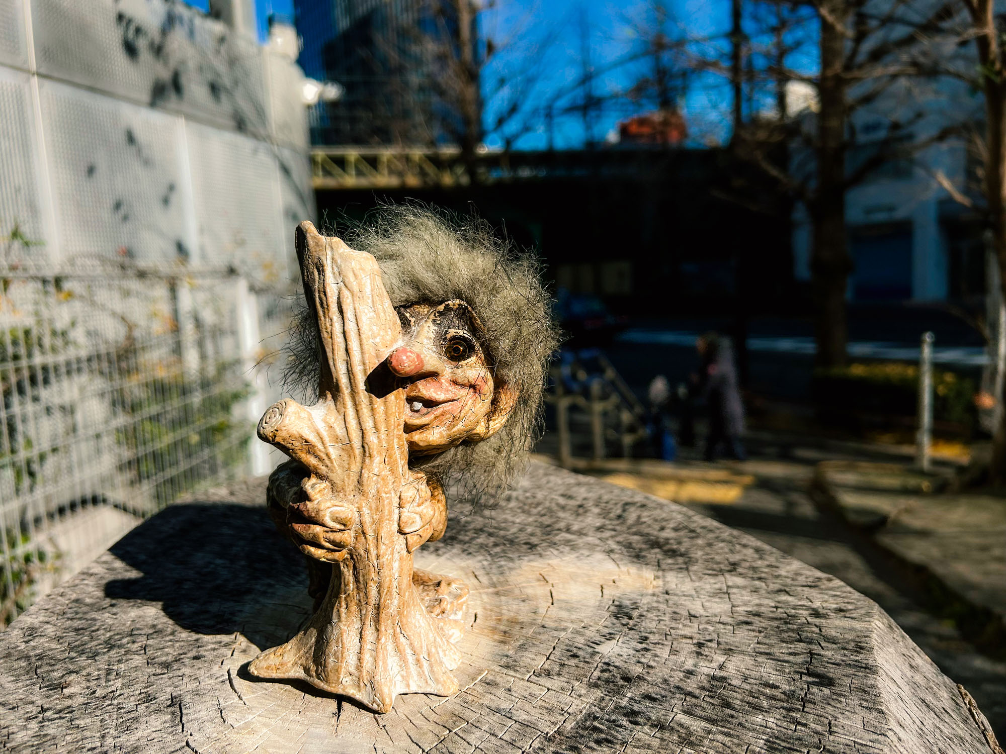 Japan 1/11/24 – 1/27/24