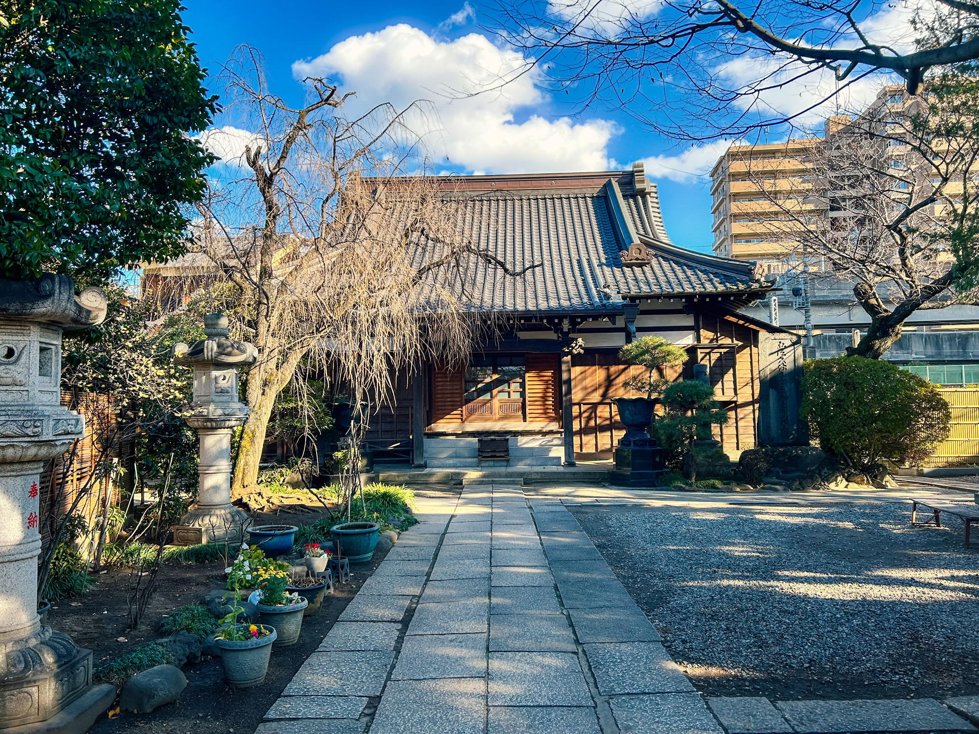 Japan 1/11/24 – 1/27/24