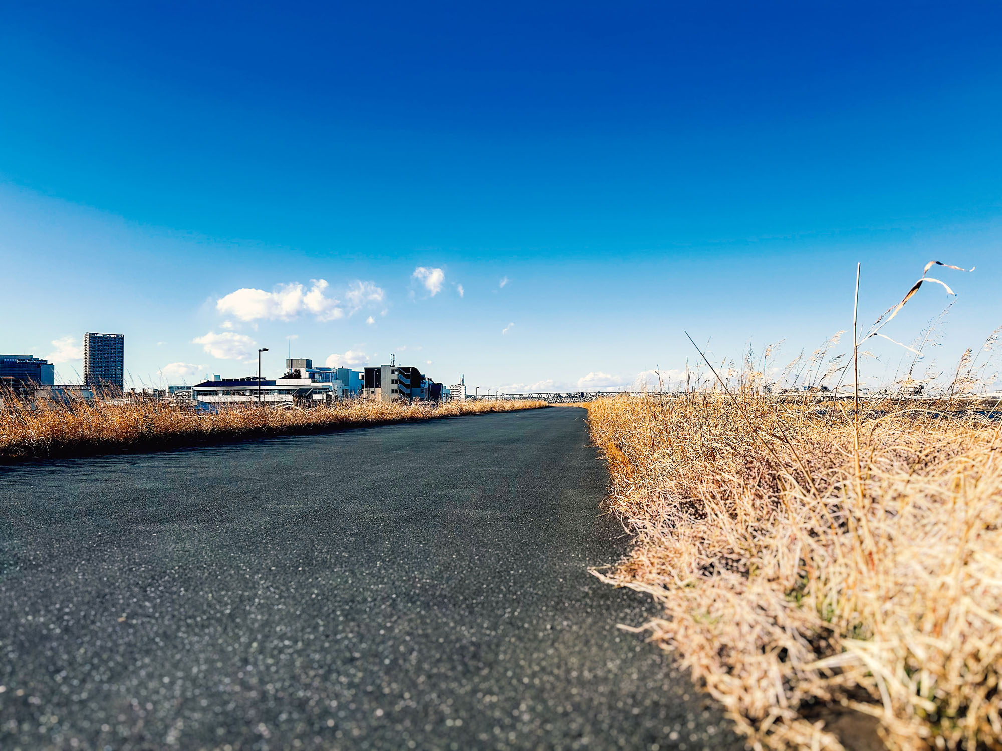 Japan 1/11/24 – 1/27/24