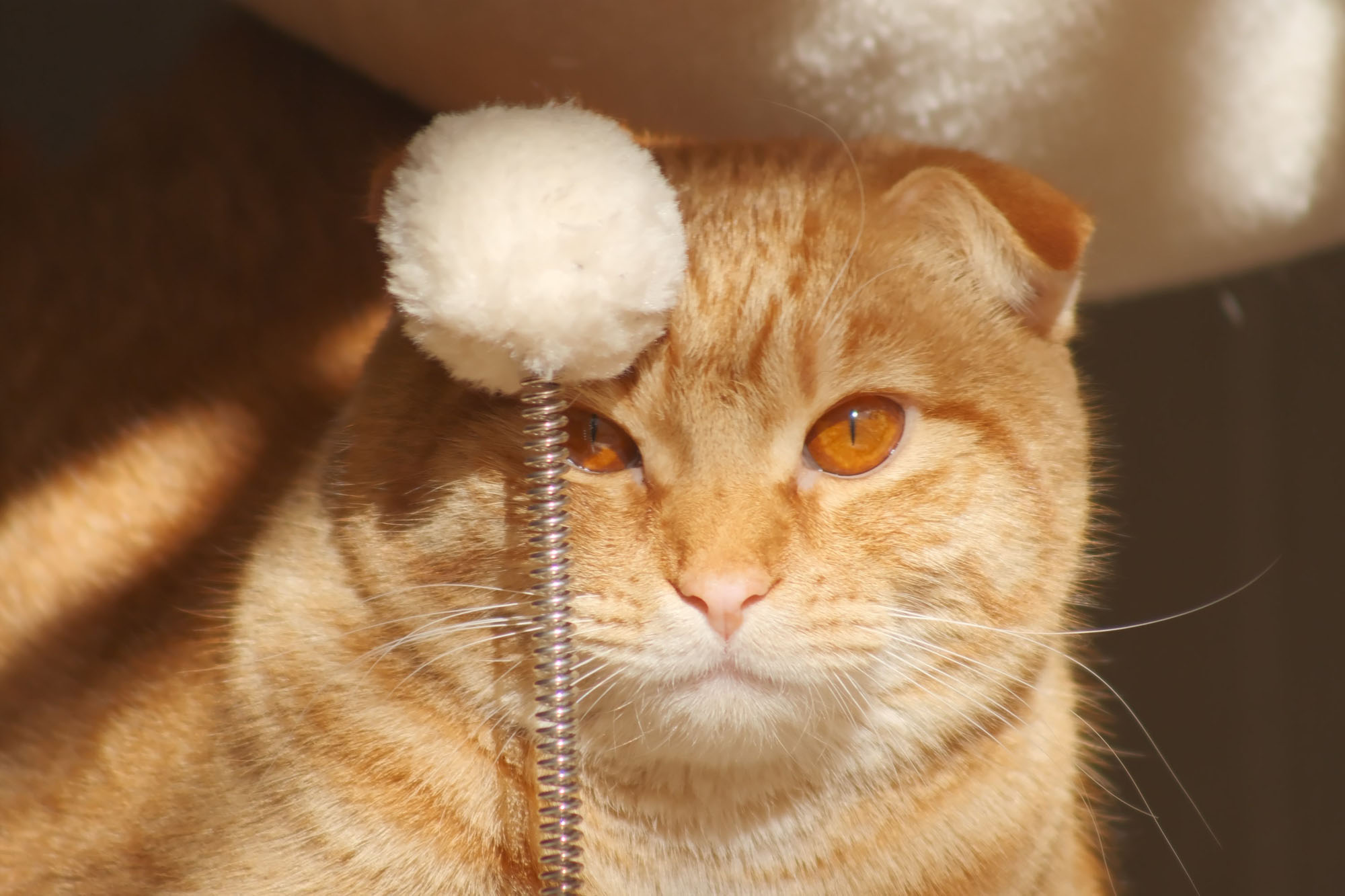 Kit Canon EF Lens on the Fuji X-T4