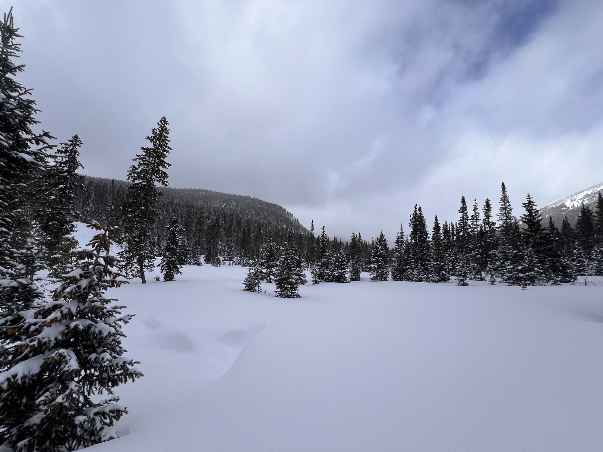 Monarch Park Snowmobiling