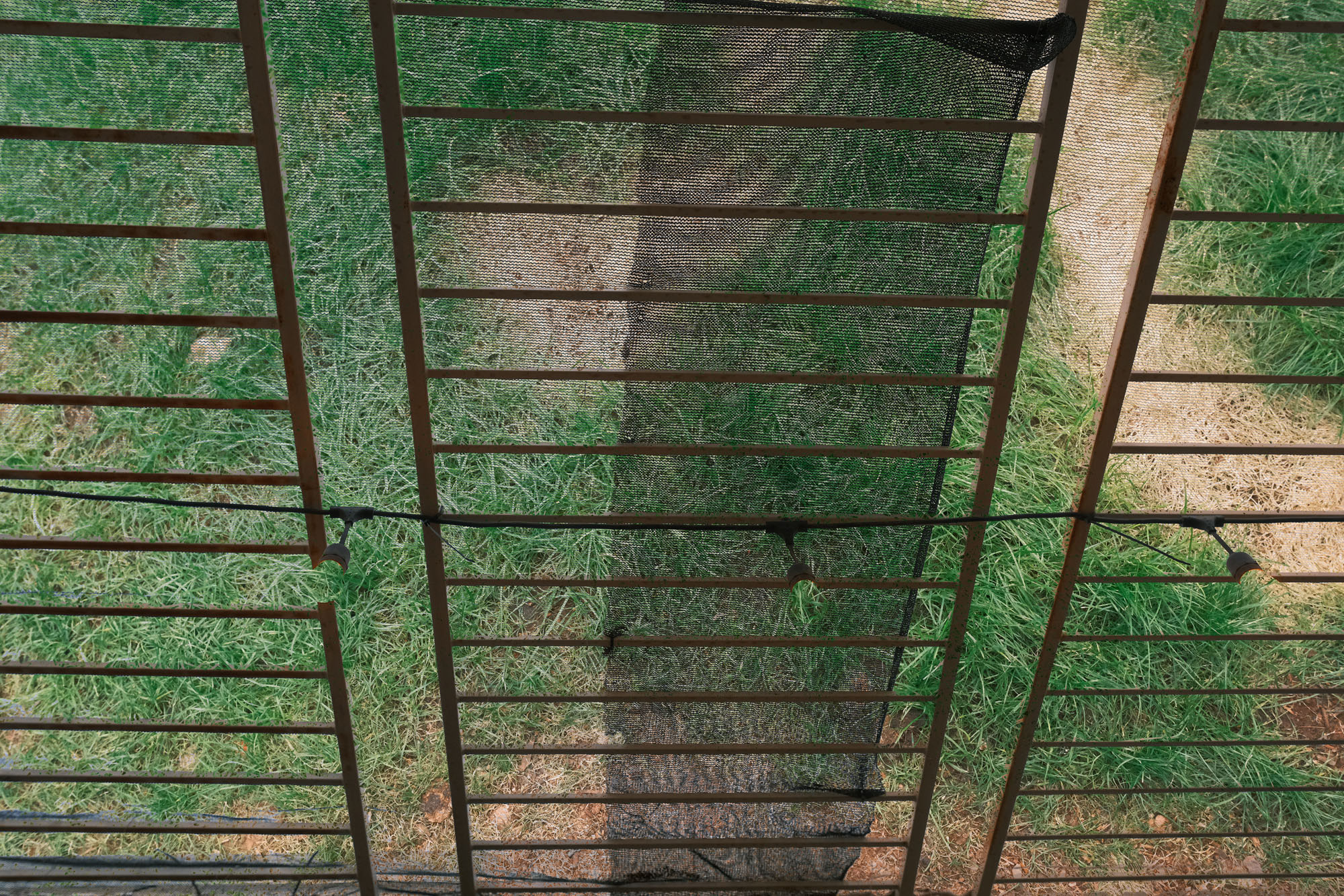 Playing with Fujifilm X-T4 Settings