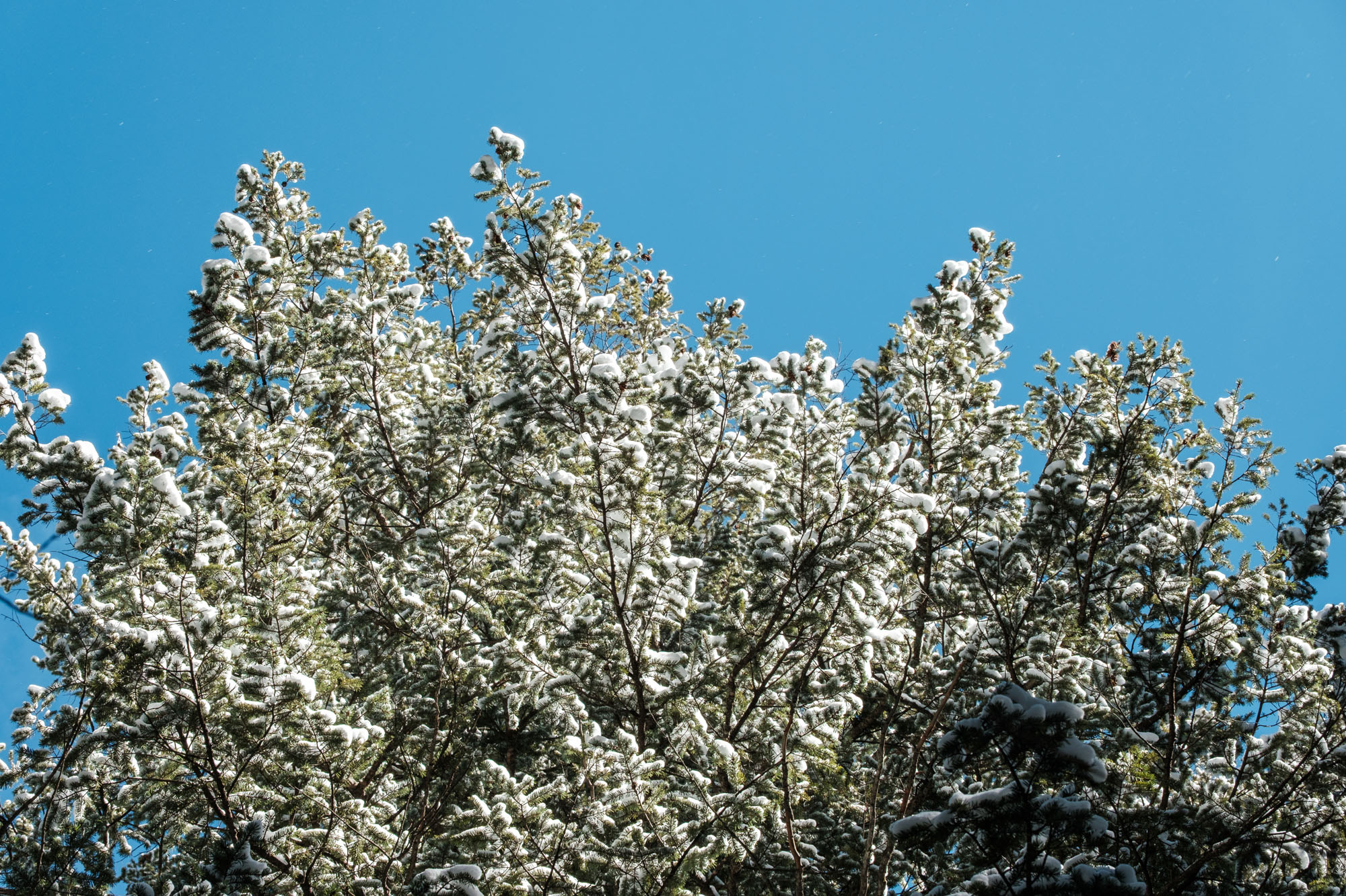 Post-Processing the Stragglers