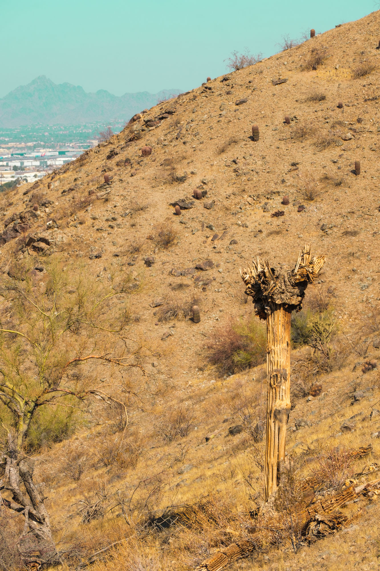 South Mountain Ridgeline Trail